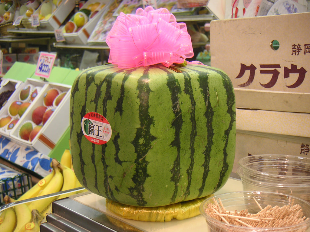 Why Are Fruits in Japan So Expensive and 5 Most Premium Fruits in Japan