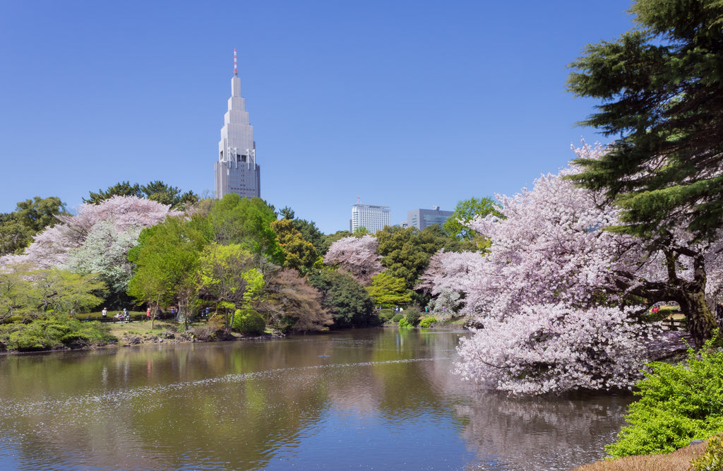 11 Best Traditional Japanese Gardens in Tokyo to Experience the Nature in a Bustling City