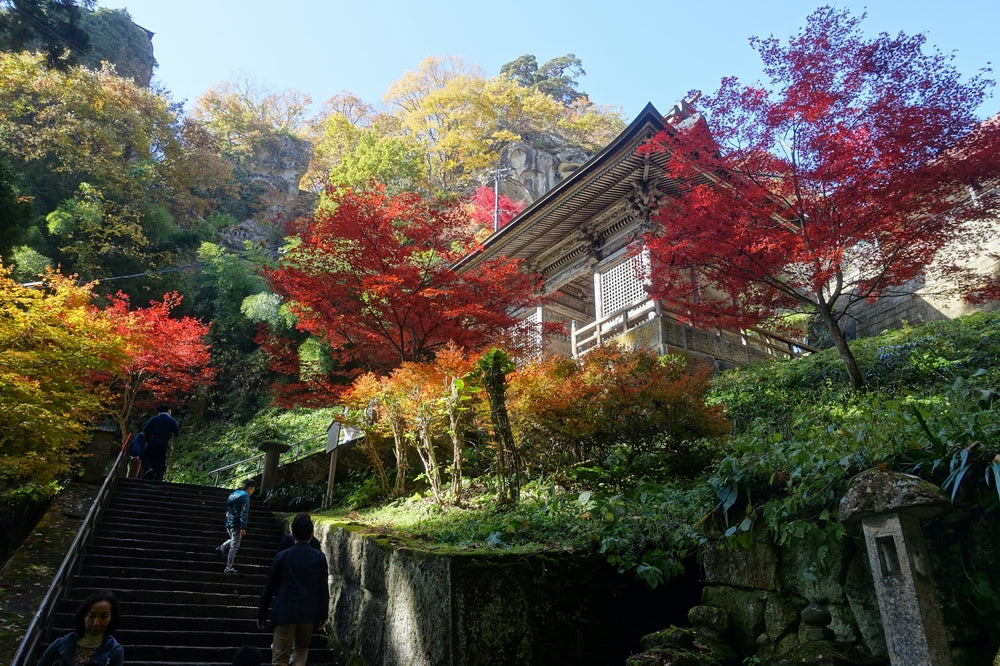 10 Exceptionally Beautiful Places in Japan That Will Make You Feel The Charm of Japan